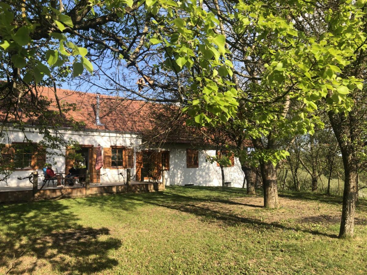 Sonnenhof Apartment Limbach im Burgenland Exterior photo