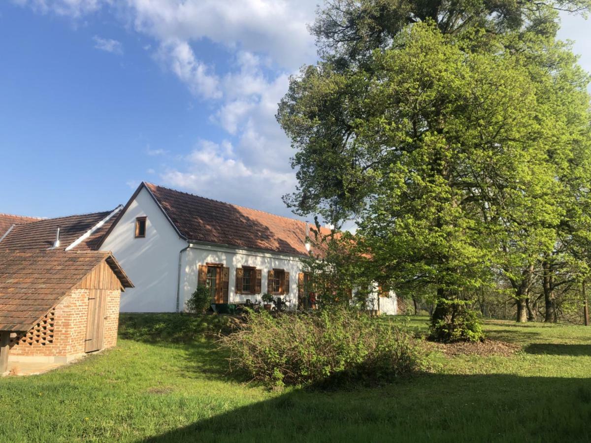 Sonnenhof Apartment Limbach im Burgenland Exterior photo